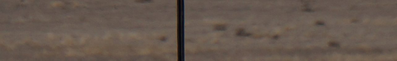 2019 Contest – $5 Dollar Mile