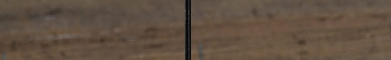 2,020 Altitude Limit Contest