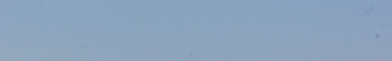 2020 – Farm Launch