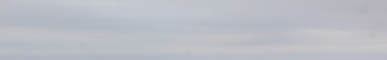 2021 – February Freeze