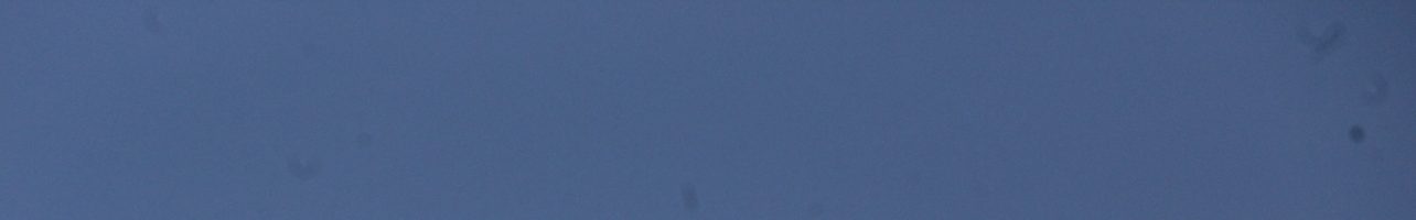 2021-03 – Atlas Launch